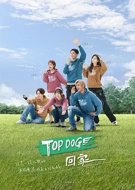 《TOP DOG》：一部关于忠诚、牺牲与人性深渊的硬核警匪动作片，深入探讨正义的边界！